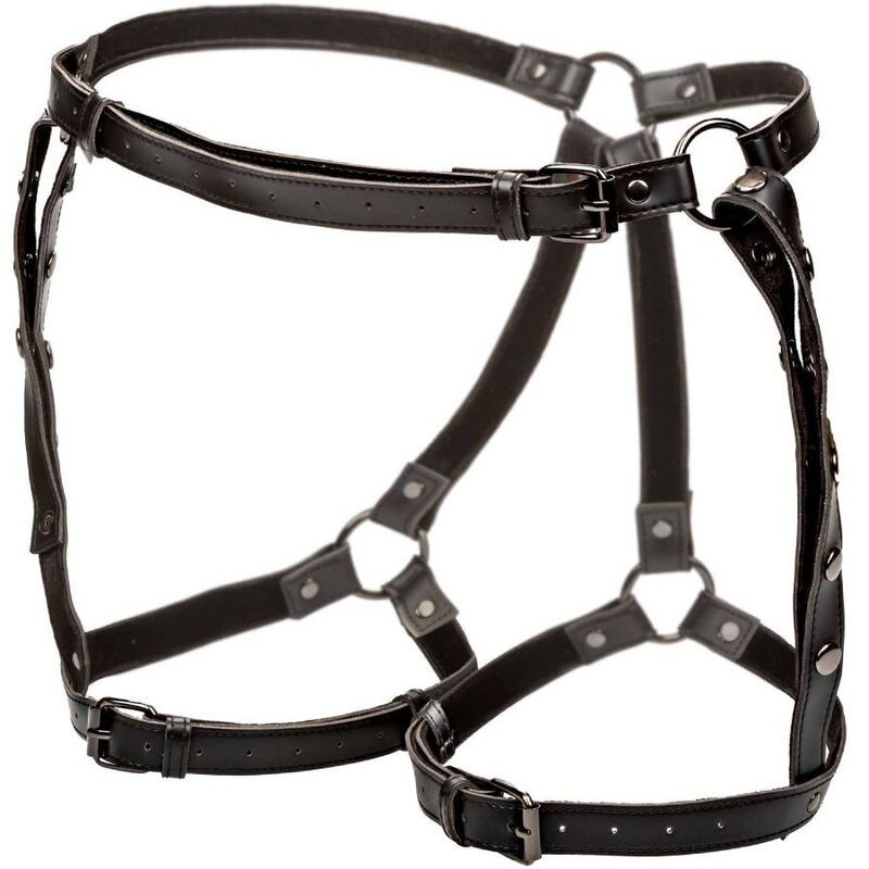 CALEXOTICS Euphoria – extra méretű combharness vibrátorhoz - Image 4