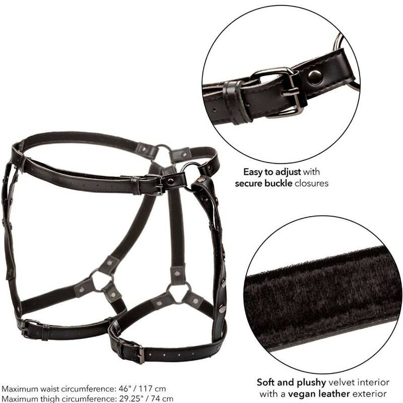 CALEXOTICS Euphoria – extra méretű combharness vibrátorhoz - Image 5