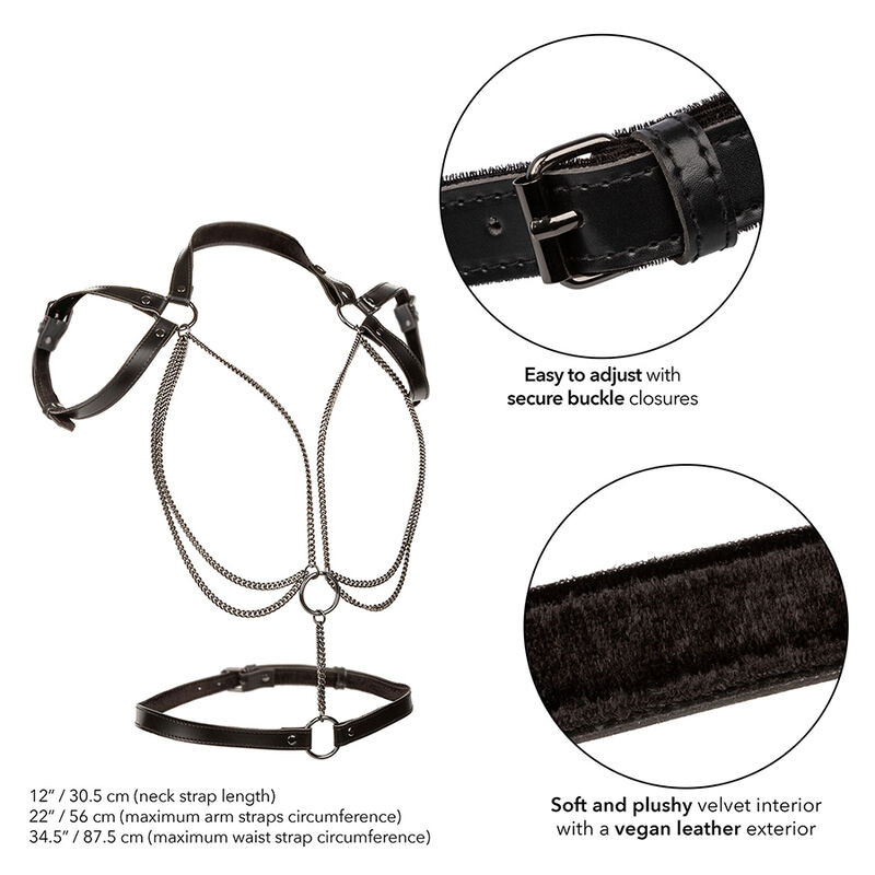 CALEXOTICS – prémium többpontos felfüggesztés - Image 3