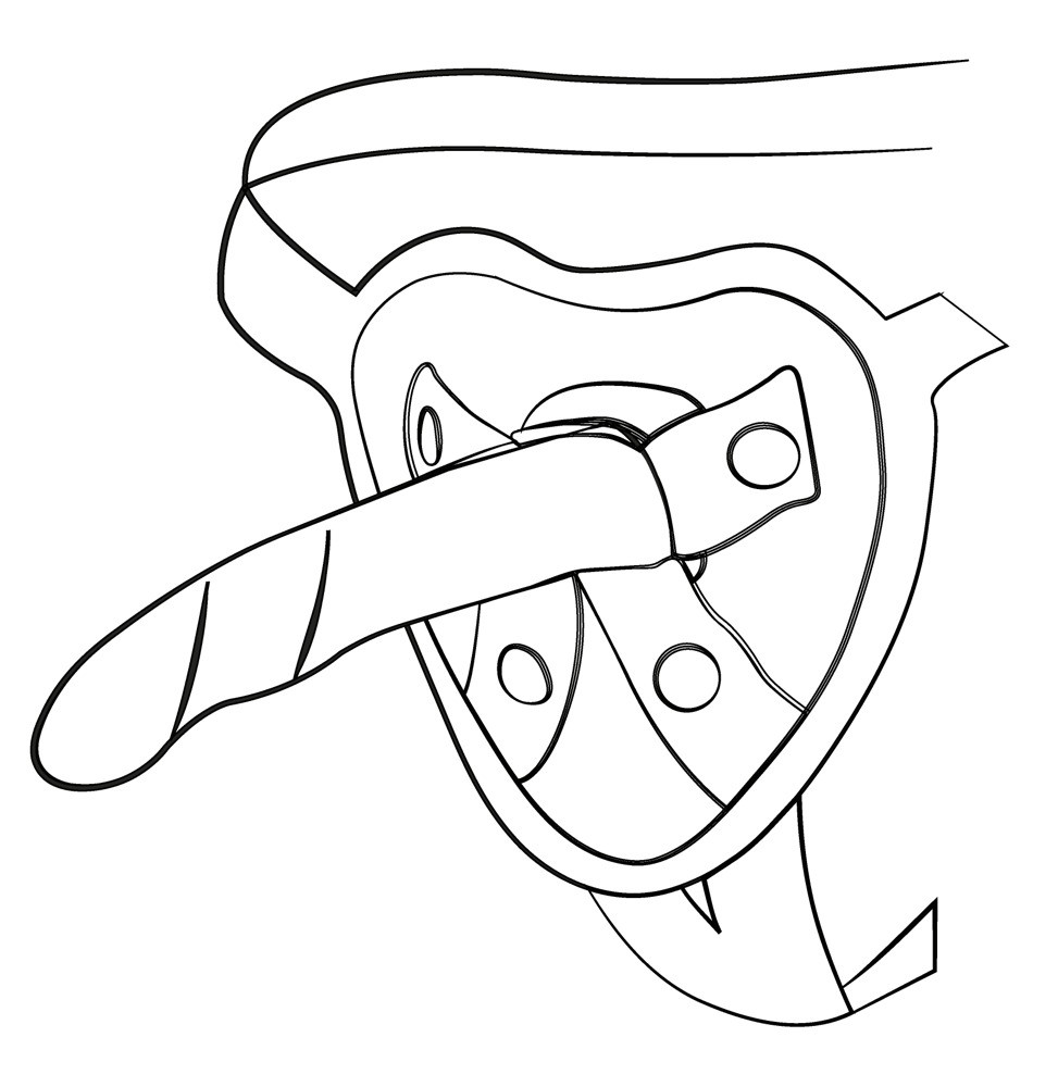 Dizi – prémium szilikon dildó 16 cm hosszú - Image 4